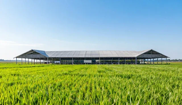 厂商名录信息发布的性能优化与适用场景分析