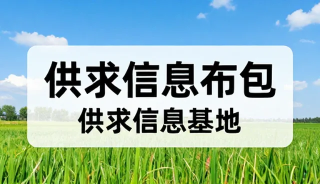 移动端网站建设:信息发布如何提升用户参与度