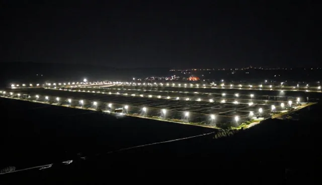 查询性能优化与适用场景分析