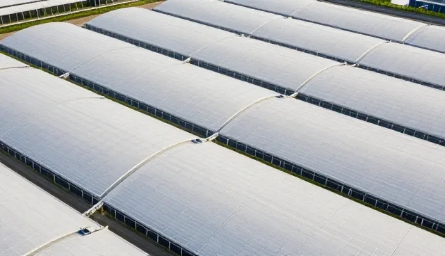 查询速度如何影响信息检索效率